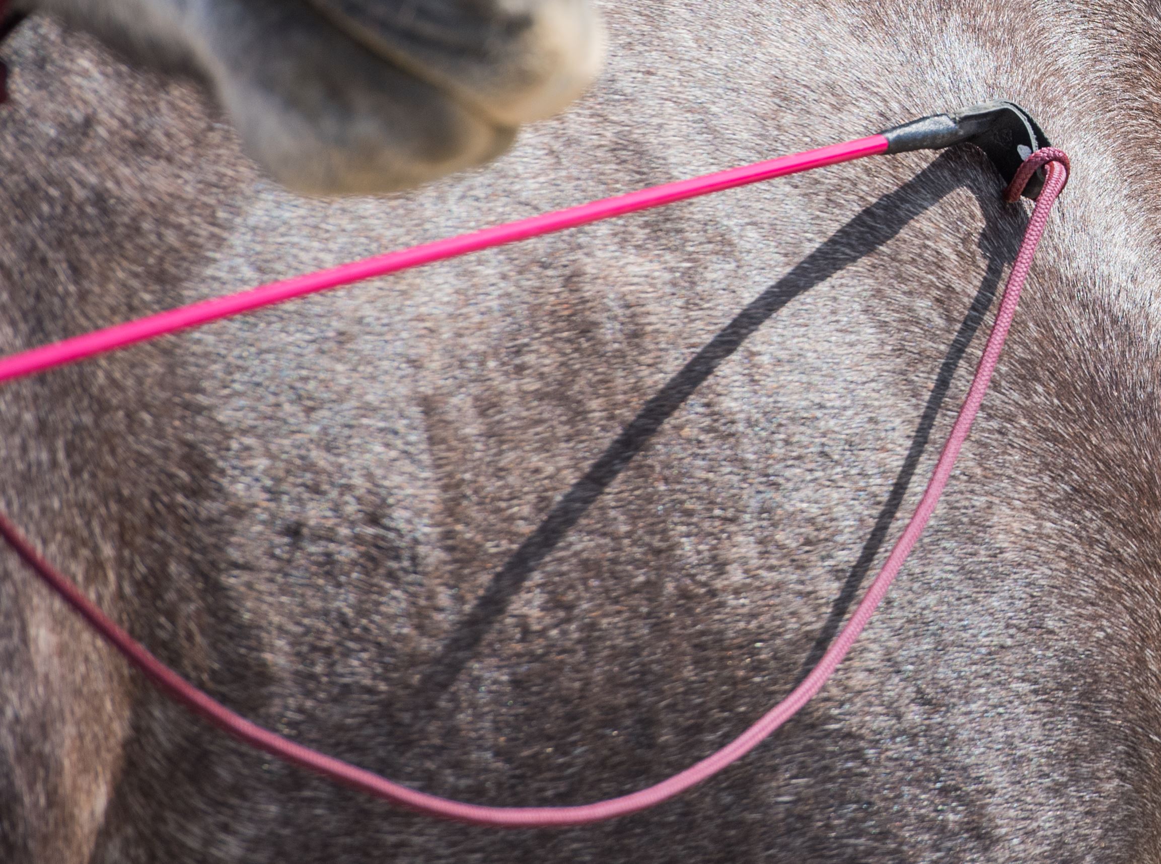 stick pro bordeaux et cordelette bordeaux