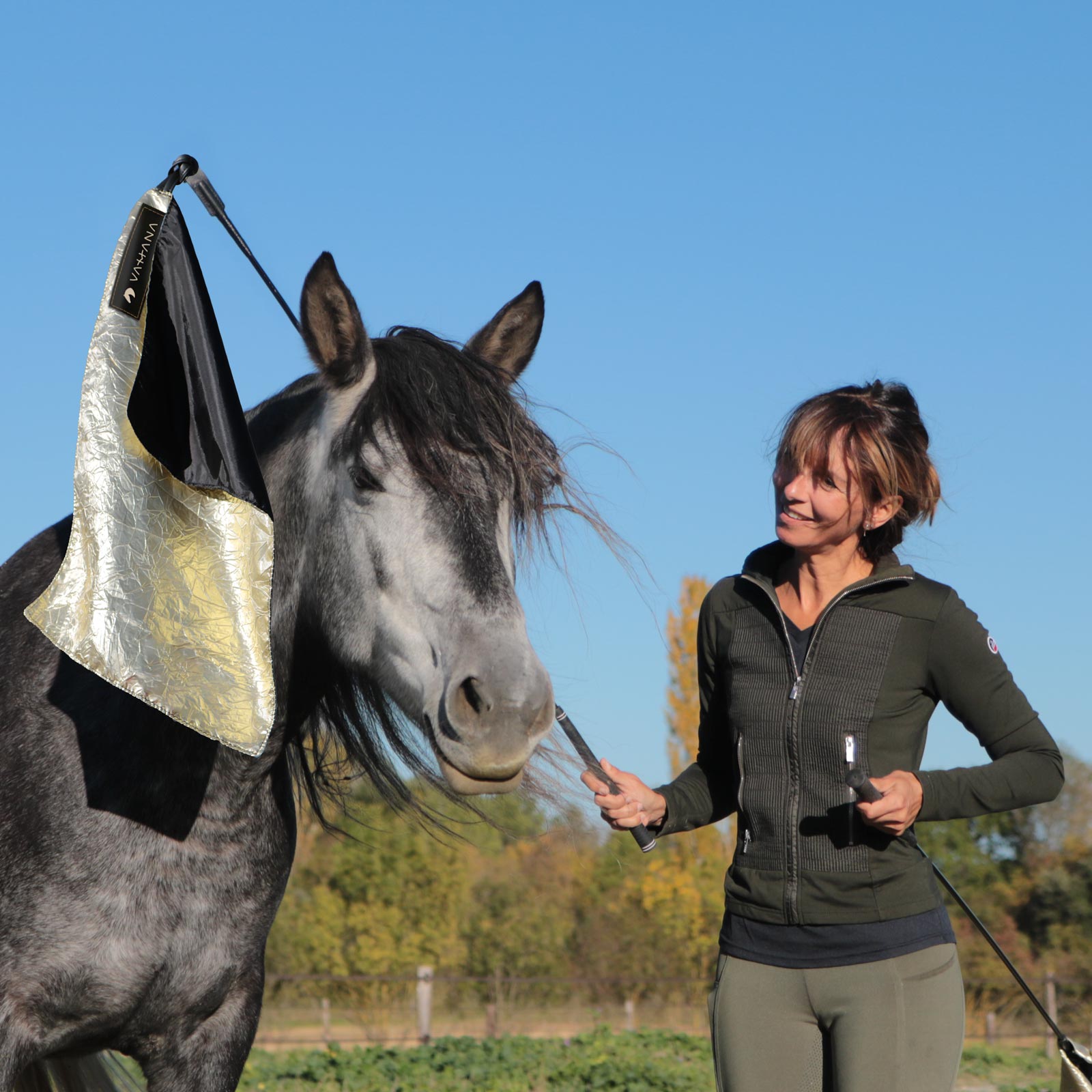 Drapeau Bling - pour apprendre la confiance 3