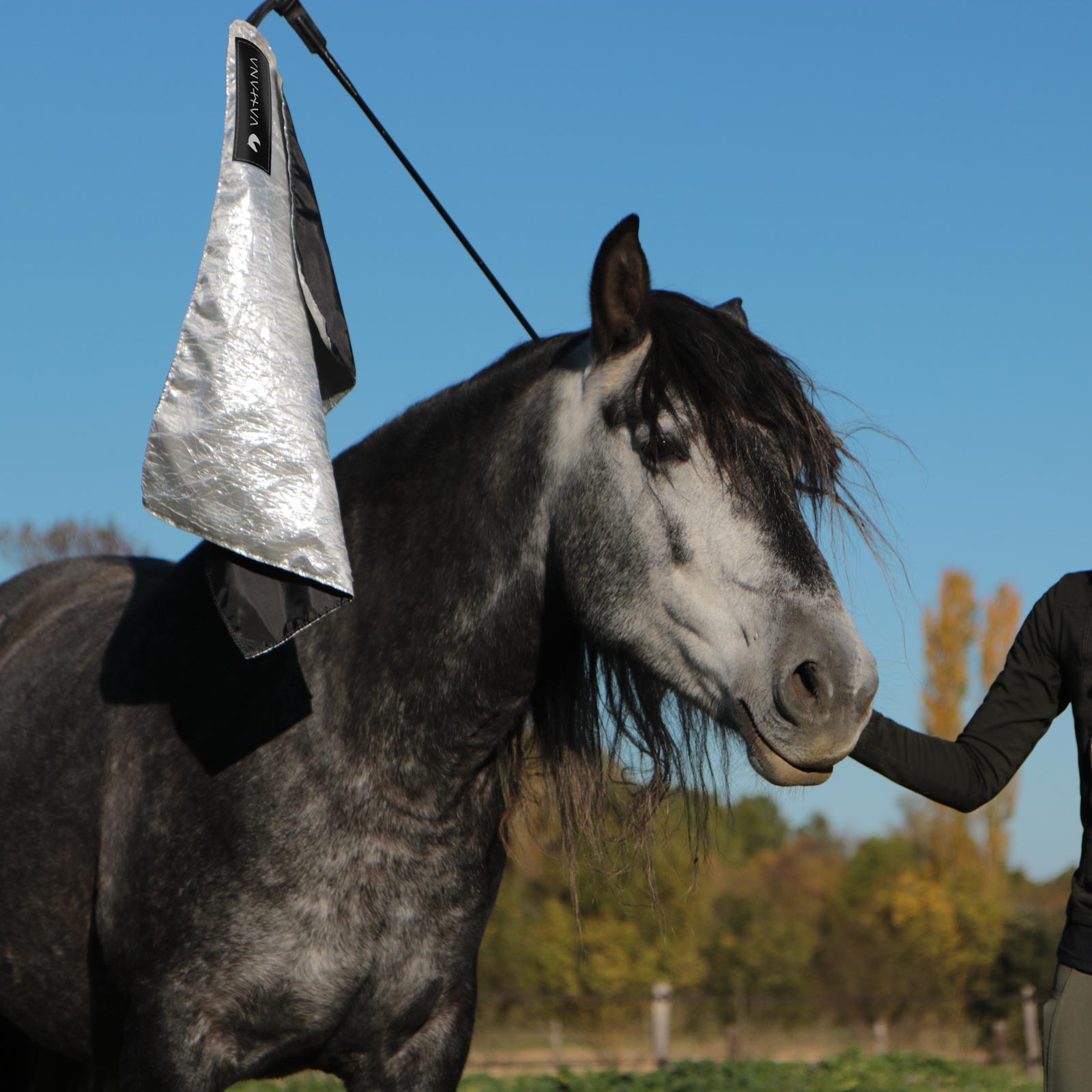 Stick Classique / Brockamp 3