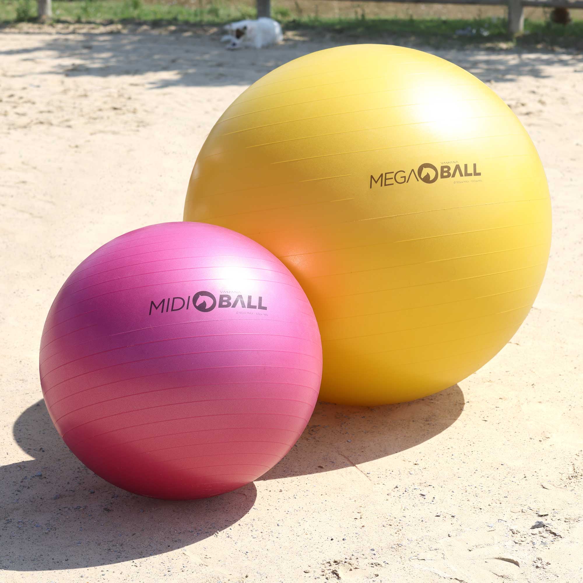 Ballon - Midi Ball / Mega Ball 1