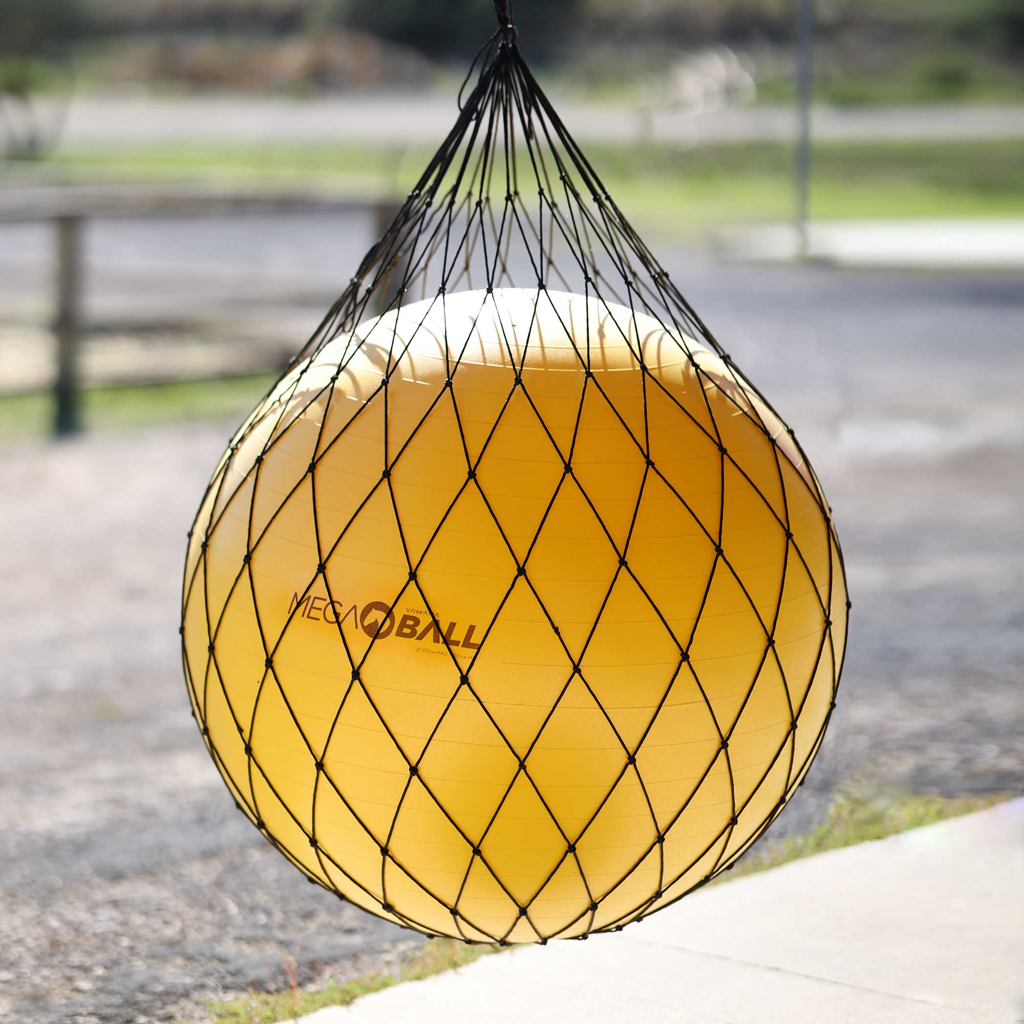 Filet de rangement pour ballon 1