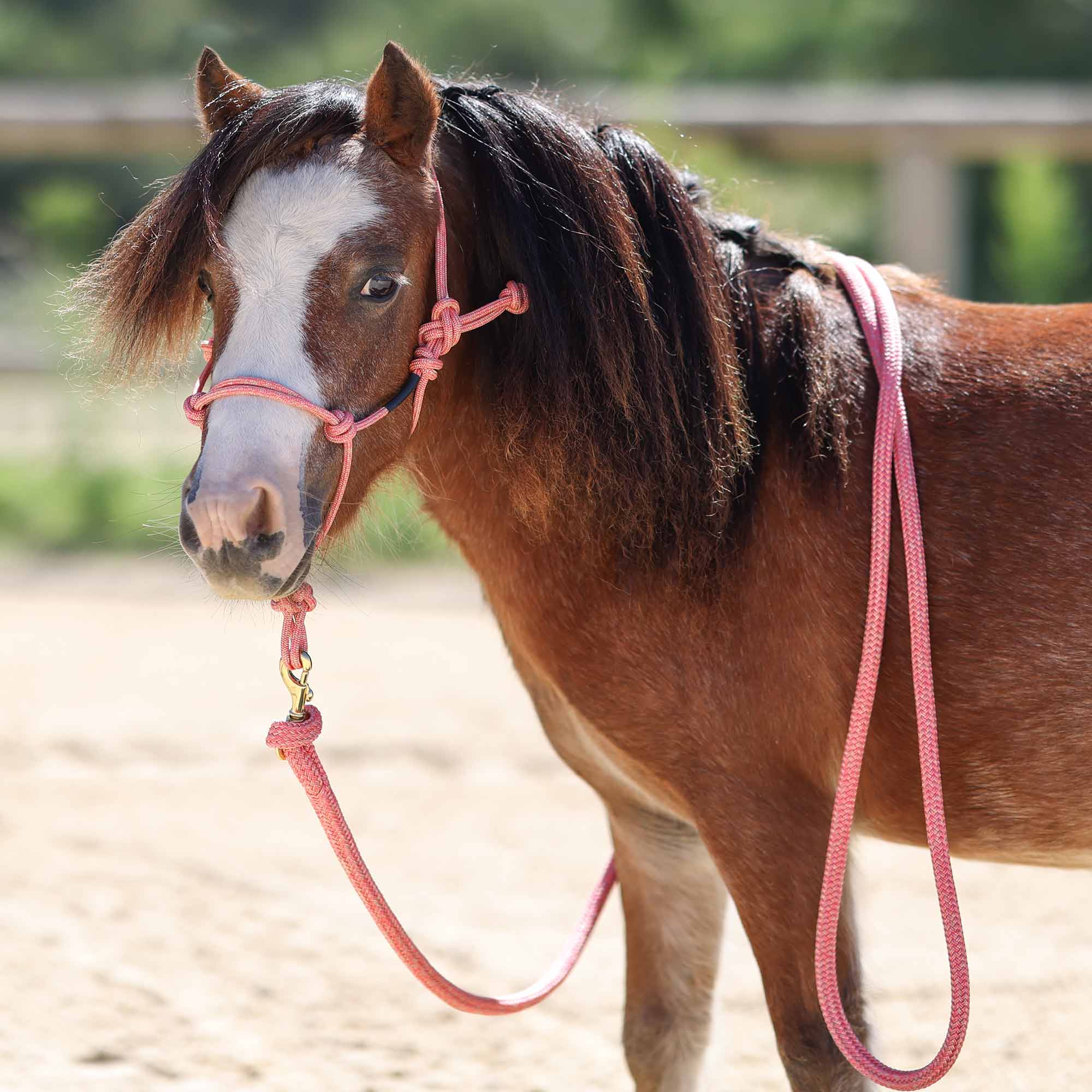 Longe Vahana Pro - réactive et résistante, 3,70 m 4