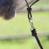 removable security carabiner Lead rope 3.70 m by Vahana Pro