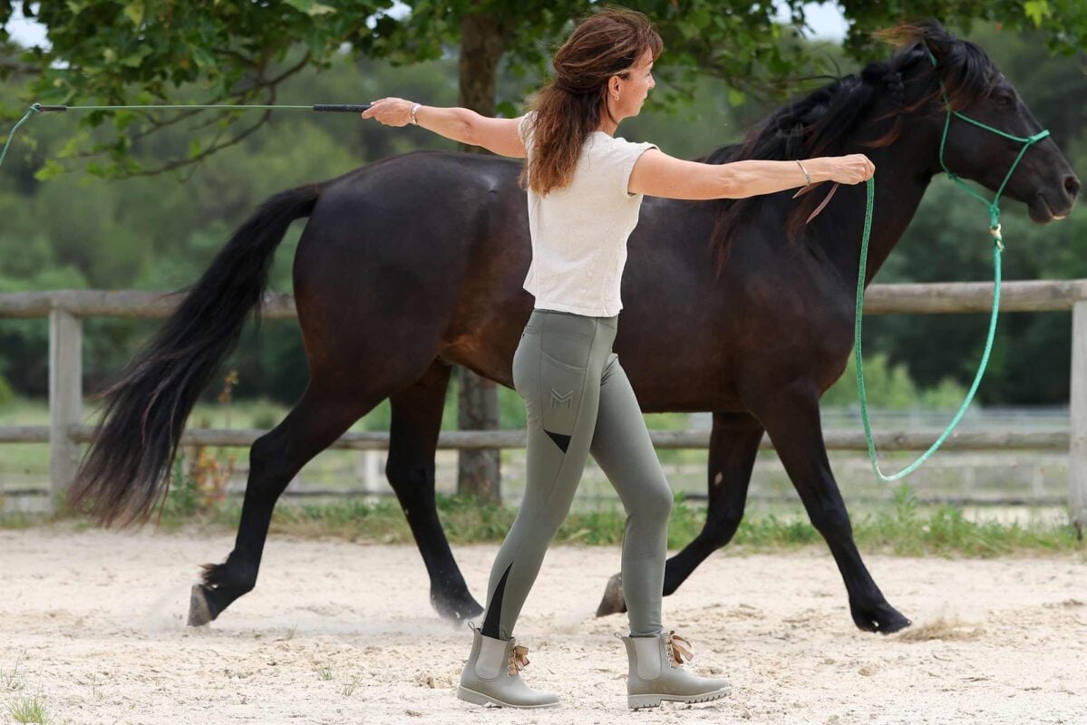 Stick Vahana Pro, le + léger du marché 2