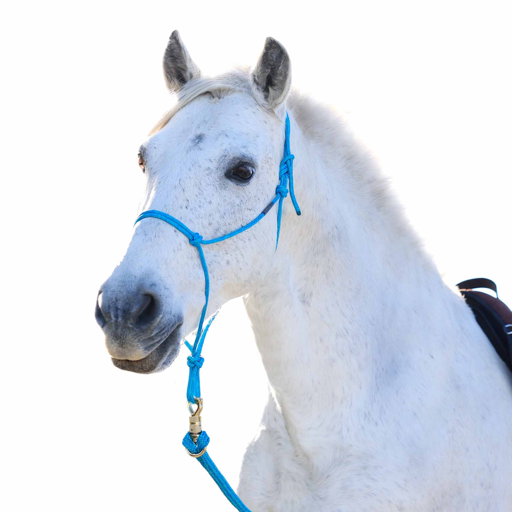 Licol Vahana Soft – corde douce & souple 4