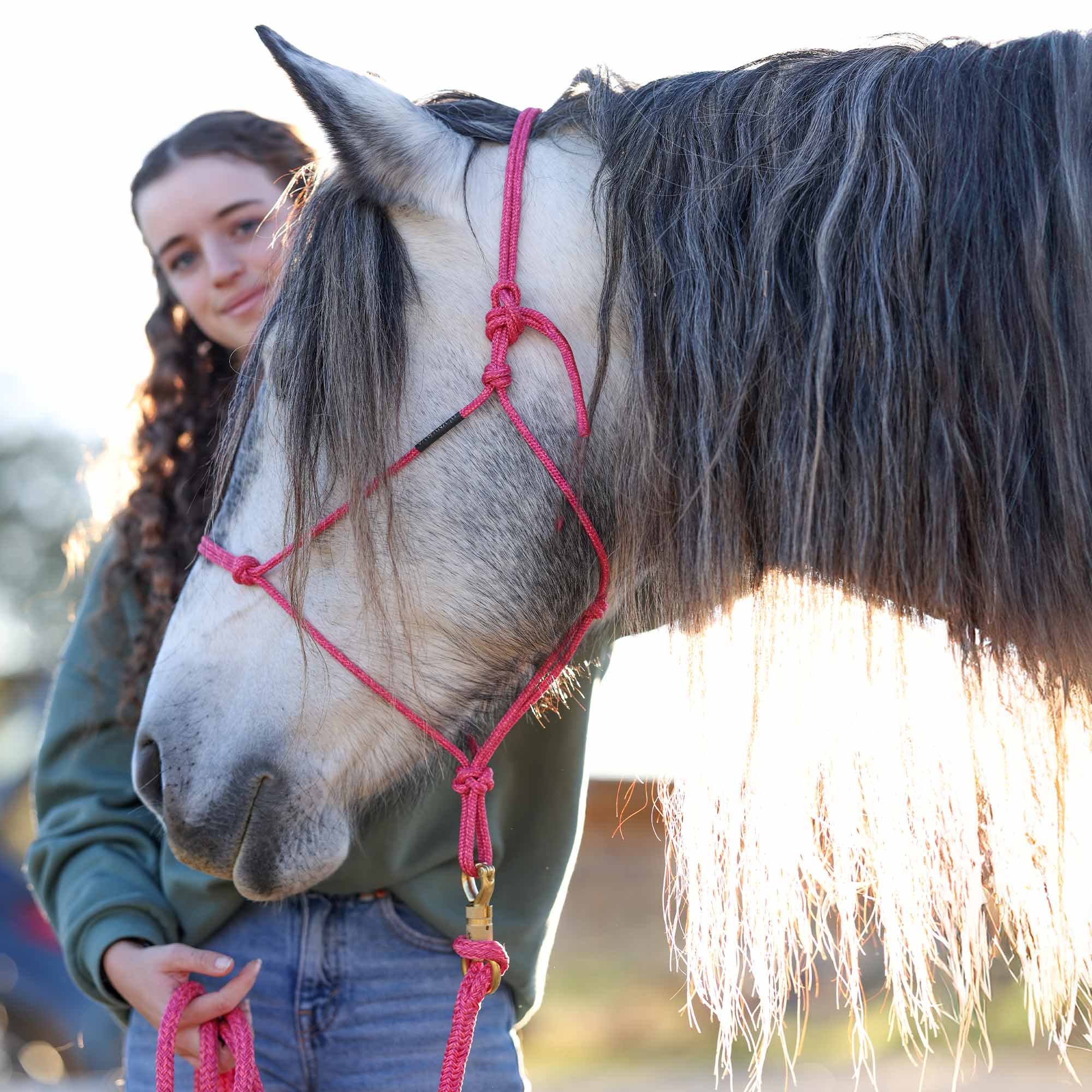 Licol Vahana Soft – corde douce & souple 5