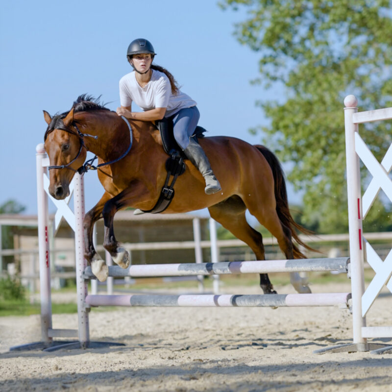 FlyPad® pour le saut sans étriers
